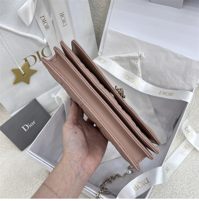 디올 미스 디올 미니 체인백 로제 데 벤츠 까나쥬