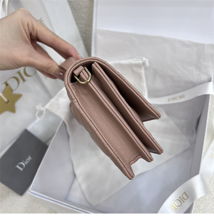 디올 미스 디올 미니 체인백 로제 데 벤츠 까나쥬