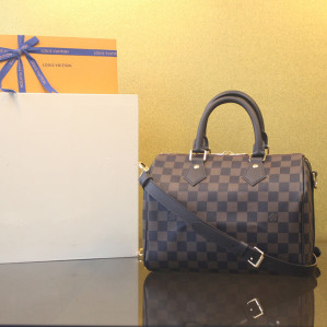 루이비통 스피디 반둘리에 25 다미에 캔버스 N40575