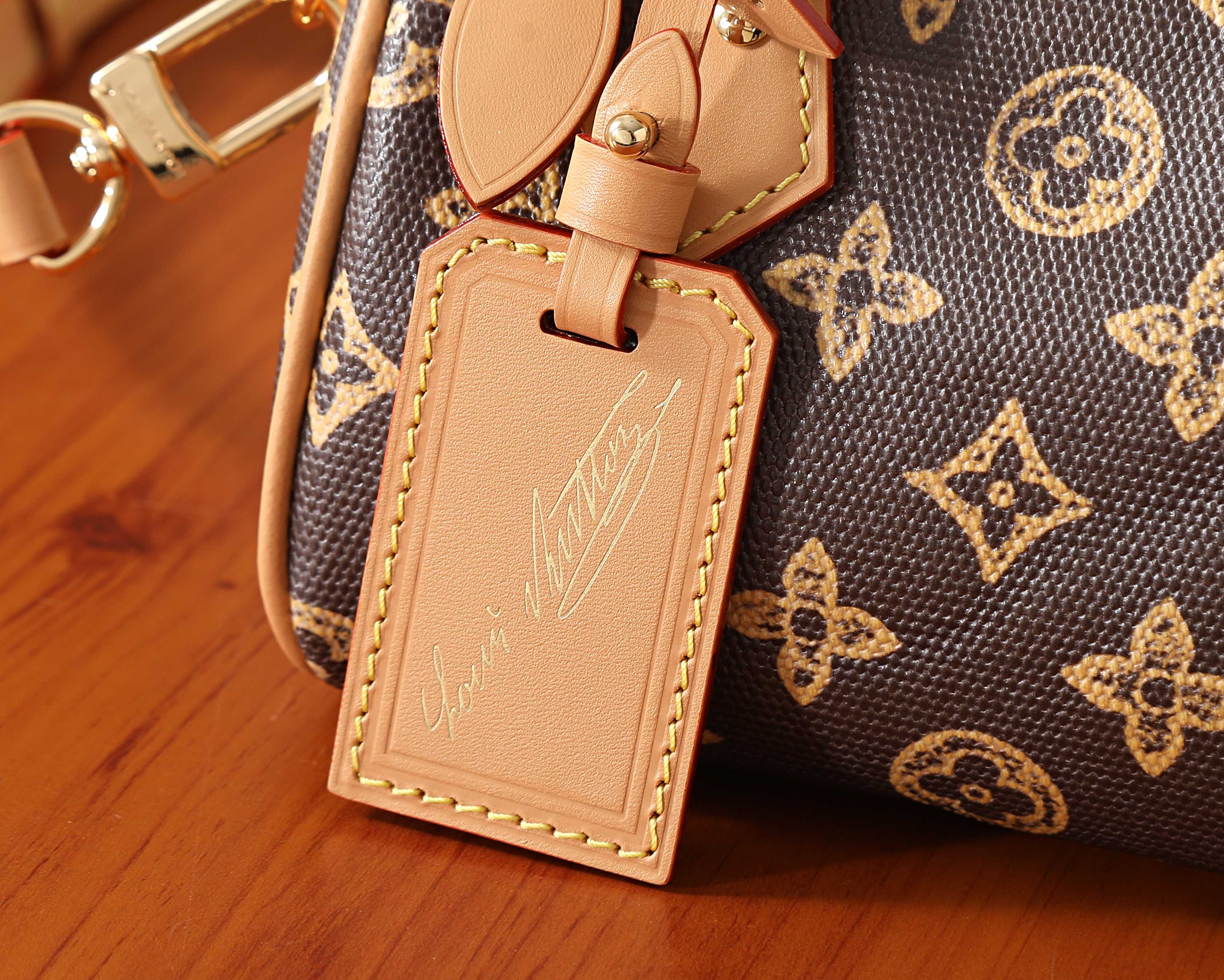 루이비통 나노 스피디 반둘리에