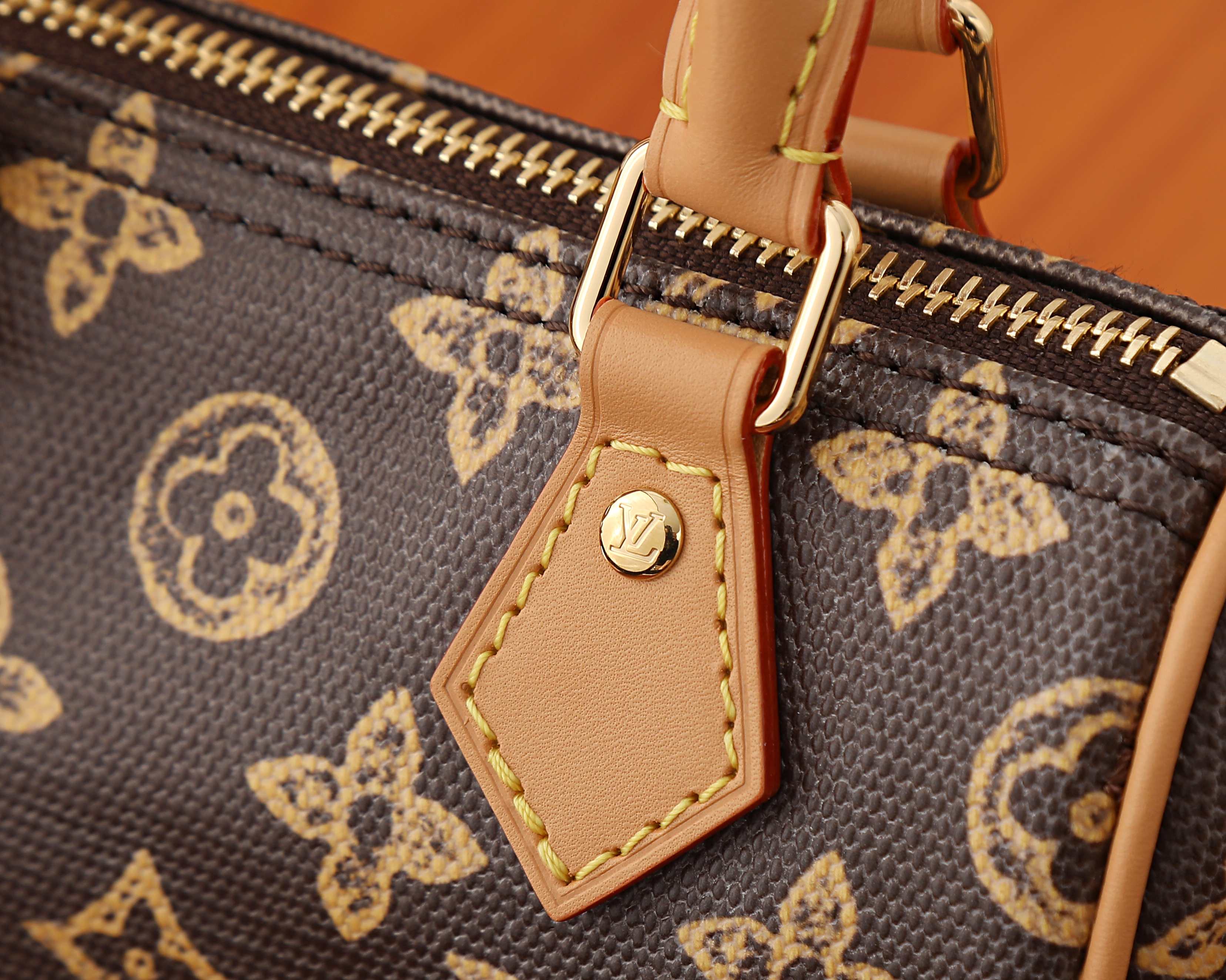 루이비통 나노 스피디 반둘리에