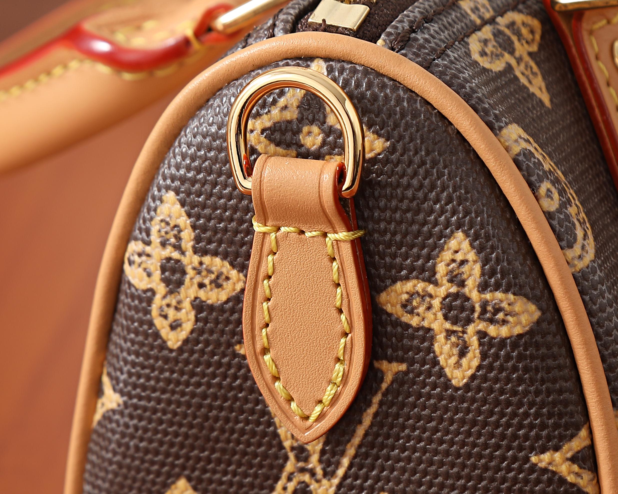 루이비통 나노 스피디 반둘리에