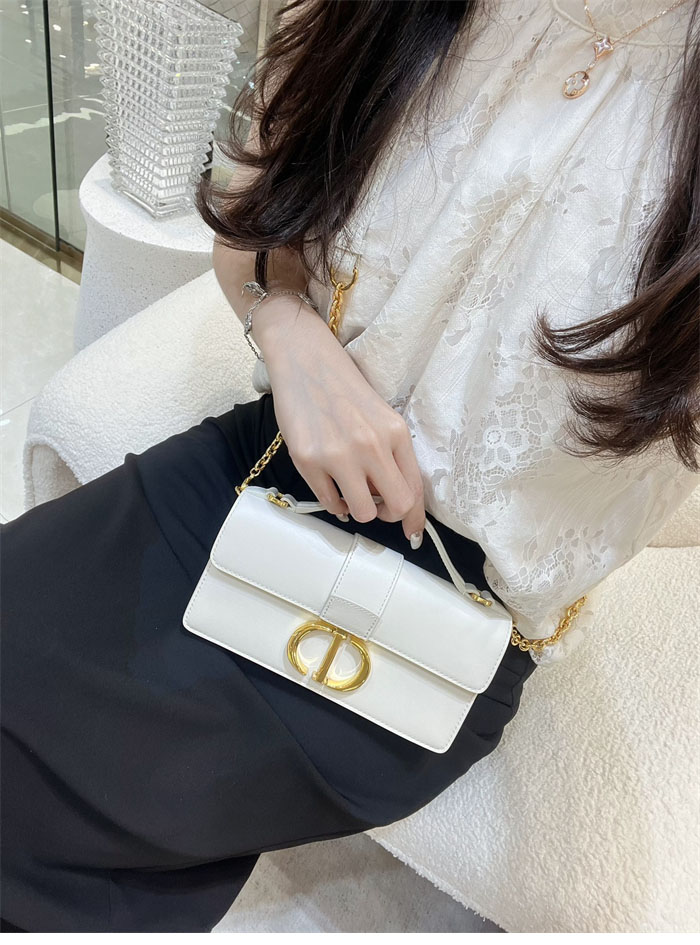 디올 미스 몽테인 미니 백