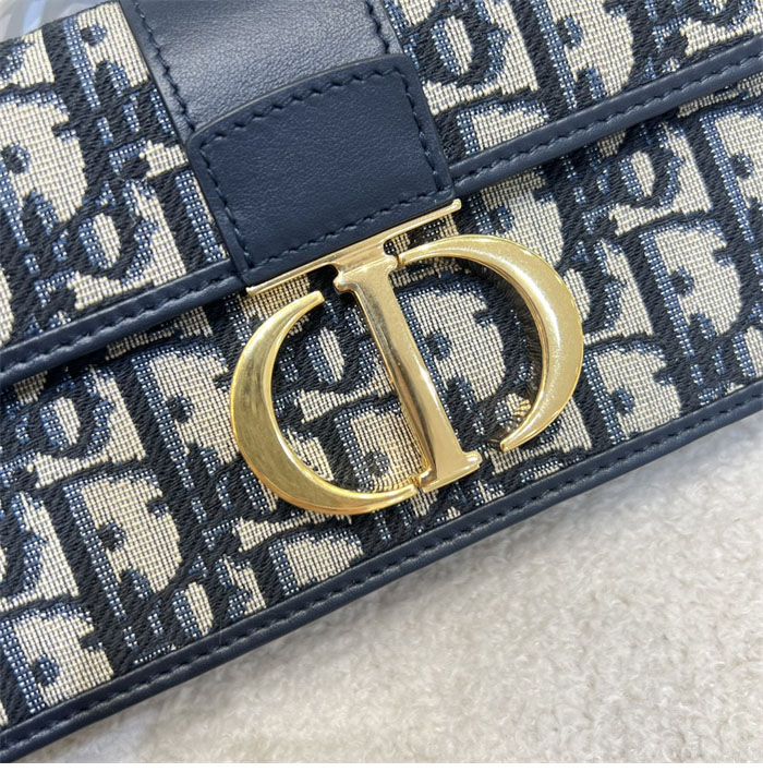 디올 미스 몽테인 미니 백