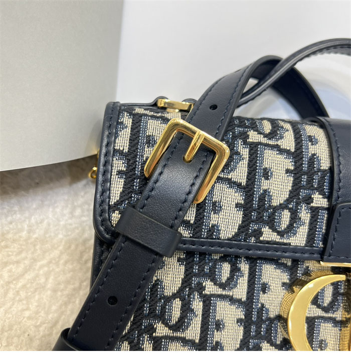 디올 미스 몽테인 미니 백