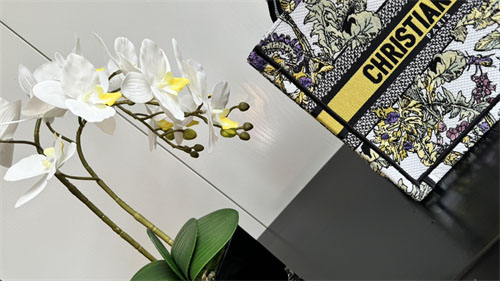 디올 북 토트백 스몰 샤돈 라떼 옐로우 멀티