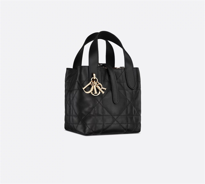 디올 뚜주흐 버티컬 나노 토트백 블랙 매크로까나쥬