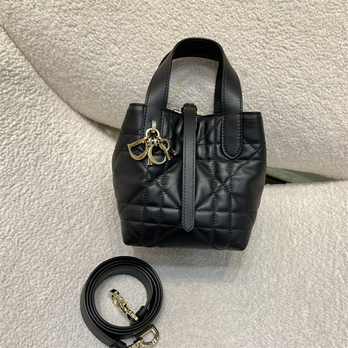 디올 뚜주흐 버티컬 나노 토트백 블랙 매크로까나쥬