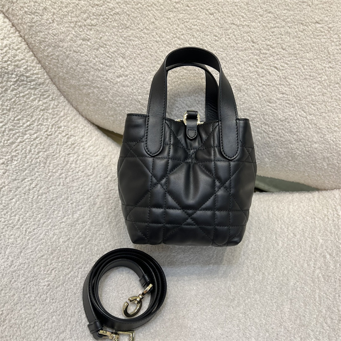 디올 뚜주흐 버티컬 나노 토트백 블랙 매크로까나쥬