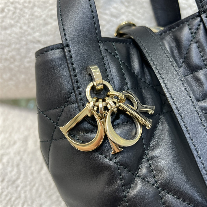 디올 뚜주흐 버티컬 나노 토트백 블랙 매크로까나쥬