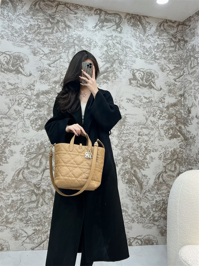 디올 뚜주흐 미디엄 버티컬 토트백 라이트 골드 매크로까나쥬