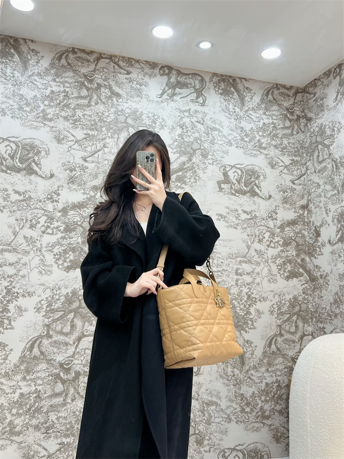 디올 뚜주흐 미디엄 버티컬 토트백 라이트 골드 매크로까나쥬