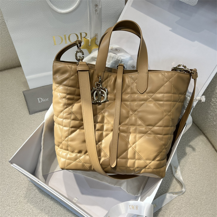 디올 뚜주흐 미디엄 버티컬 토트백 라이트 골드 매크로까나쥬