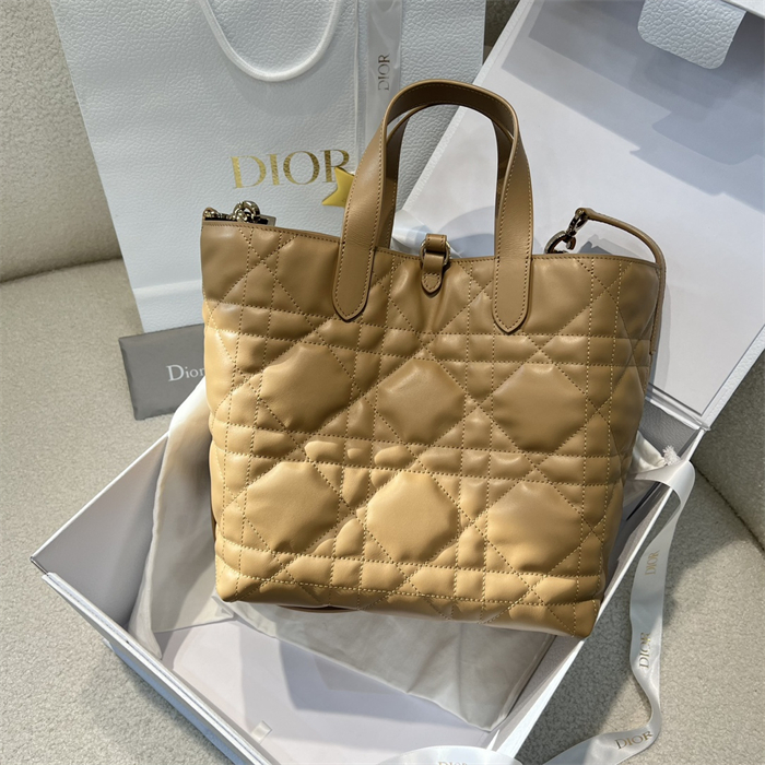 디올 뚜주흐 미디엄 버티컬 토트백 라이트 골드 매크로까나쥬