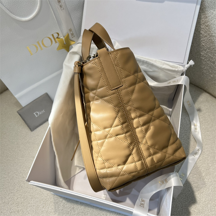 디올 뚜주흐 미디엄 버티컬 토트백 라이트 골드 매크로까나쥬