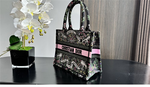 디올 북 토트백 어라운드 더 월드 블랙 멀티