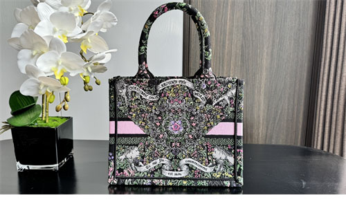 디올 북 토트백 어라운드 더 월드 블랙 멀티