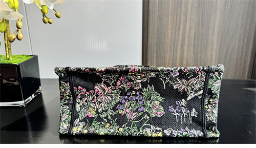 디올 북 토트백 어라운드 더 월드 블랙 멀티