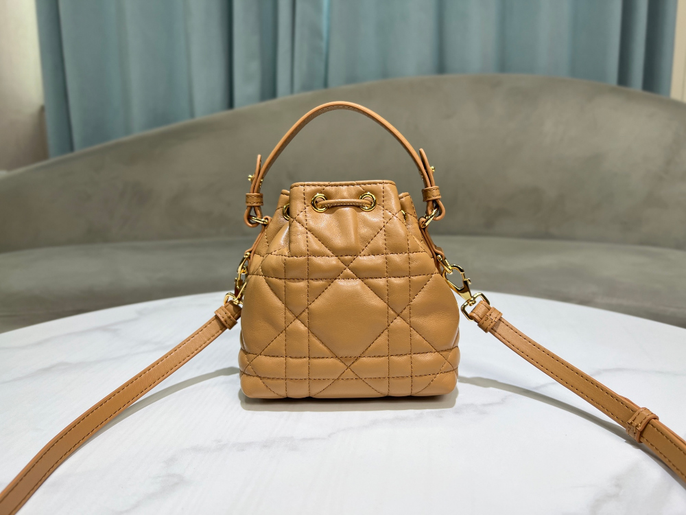 디올 Caro Nano Bucket