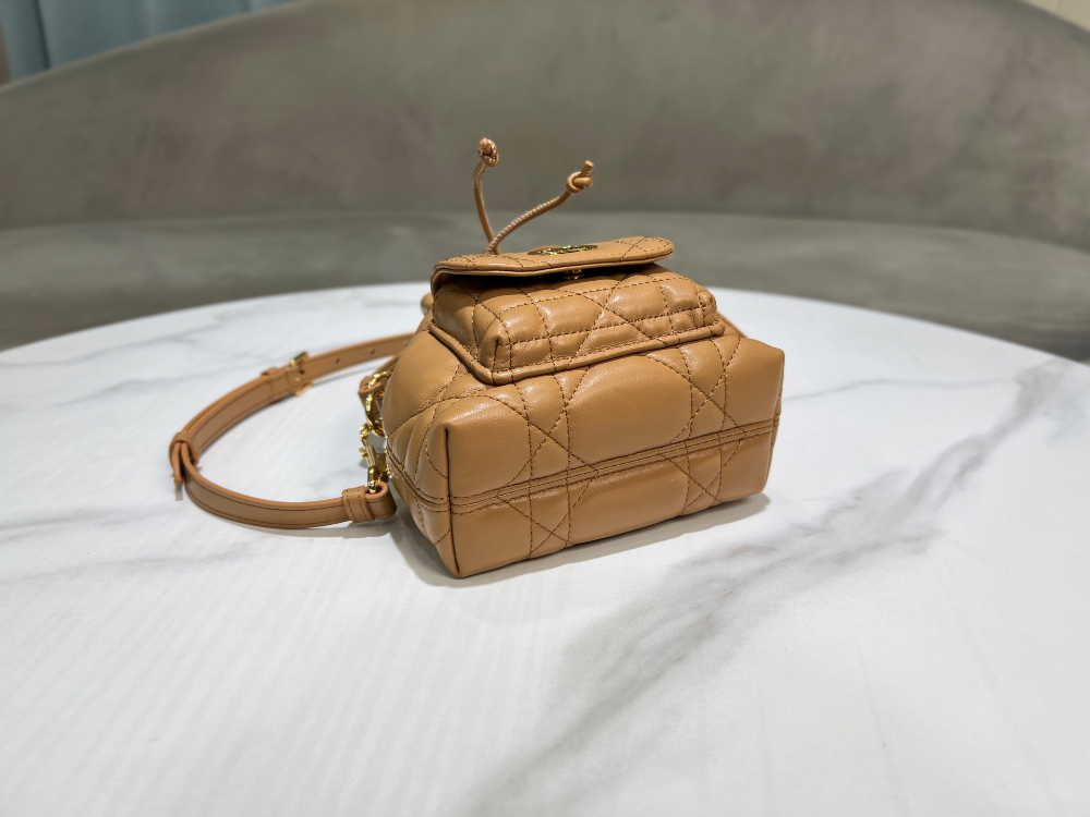 디올 Caro Nano Bucket