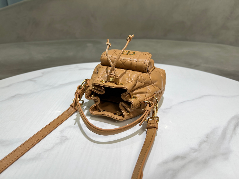 디올 Caro Nano Bucket