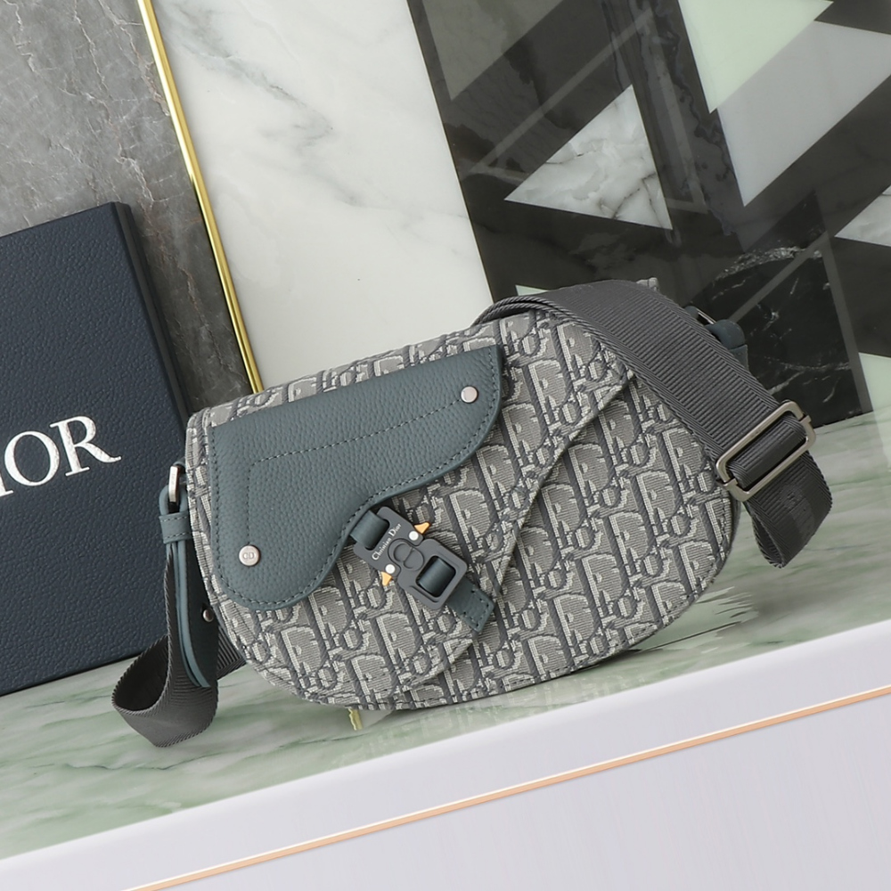 디올 Saddle Strapback