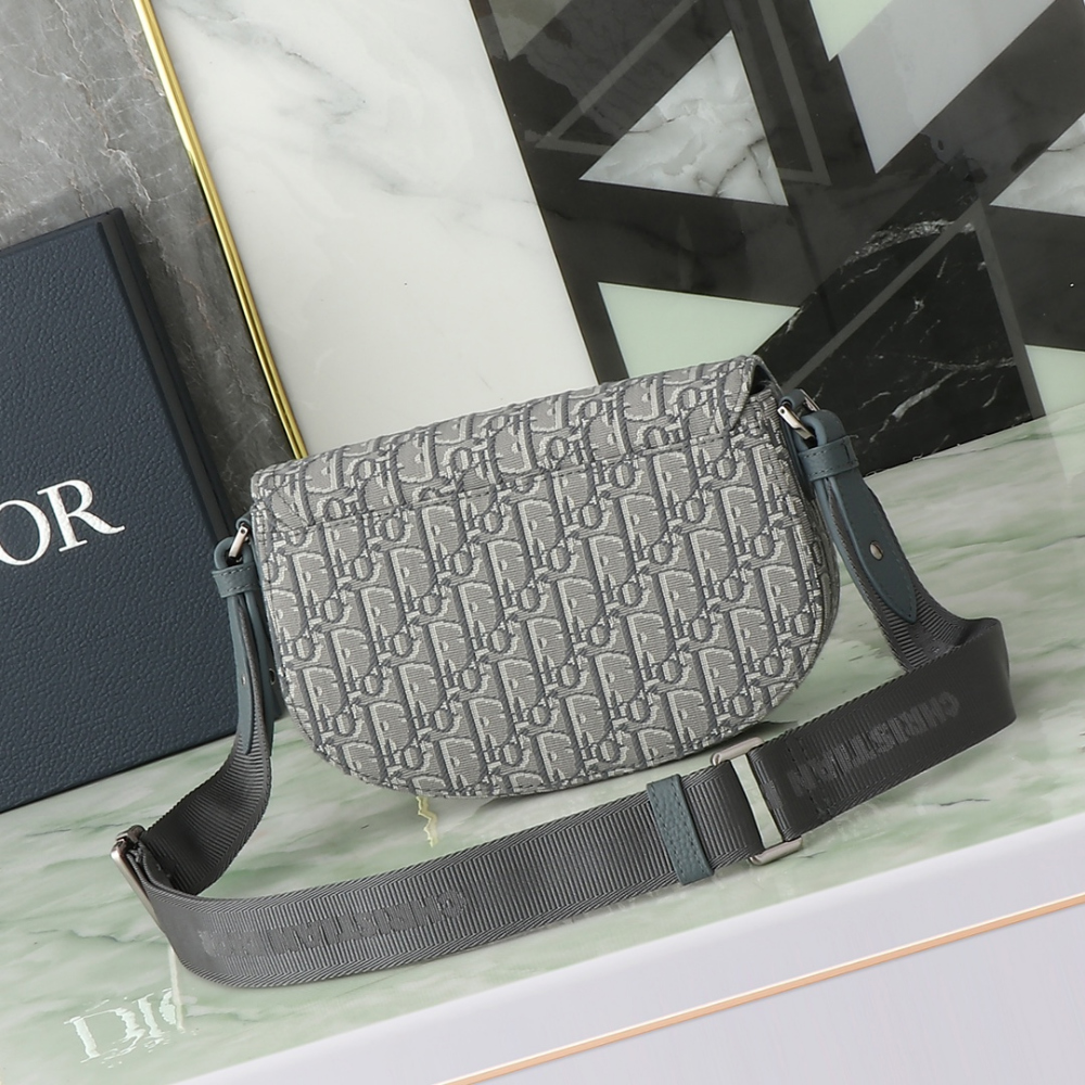 디올 Saddle Strapback