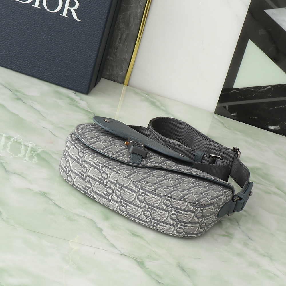 디올 Saddle Strapback