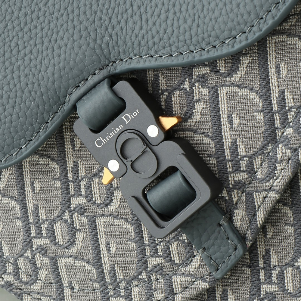 디올 Saddle Strapback