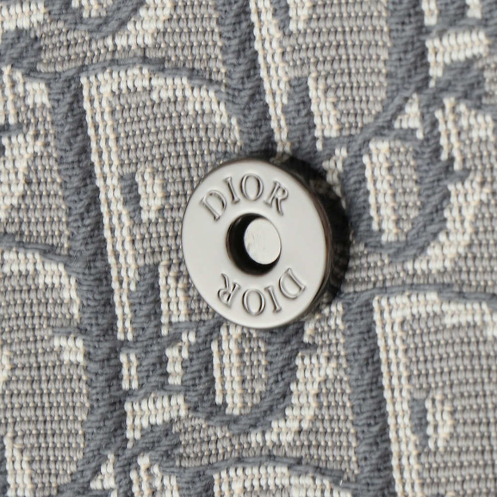 디올 Saddle Strapback