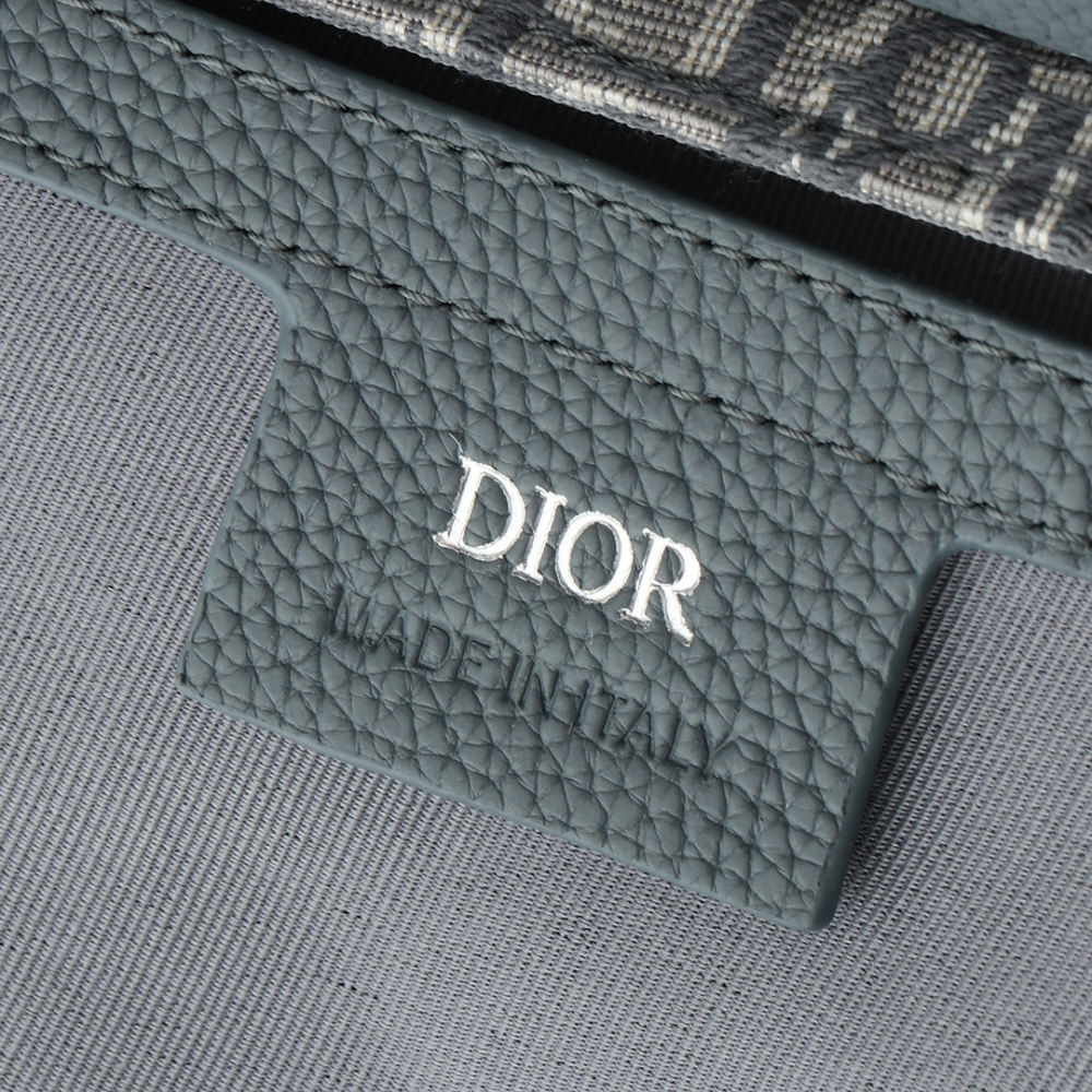 디올 Saddle Strapback