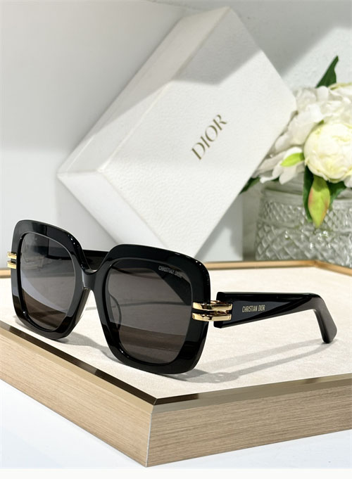 디올 CDior S2I 선글라스
