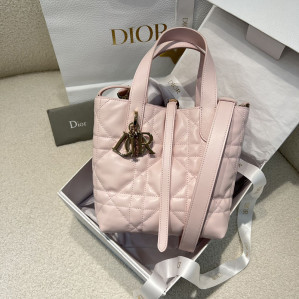 디올 뚜주흐 스몰 버티컬 토트백 페일 핑크 매크로까나쥬