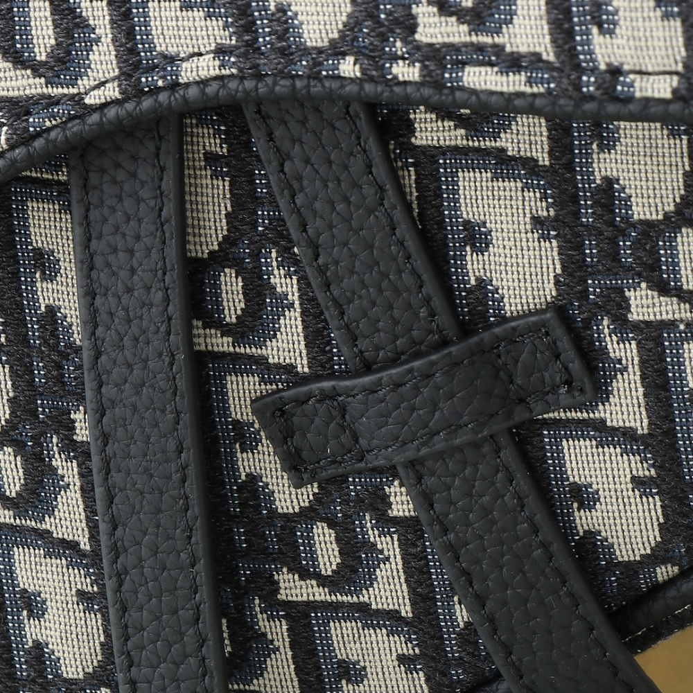 디올 Saddle Bag