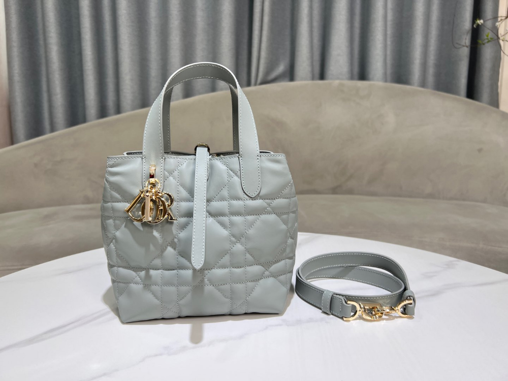 디올 Toujours Vertical Small