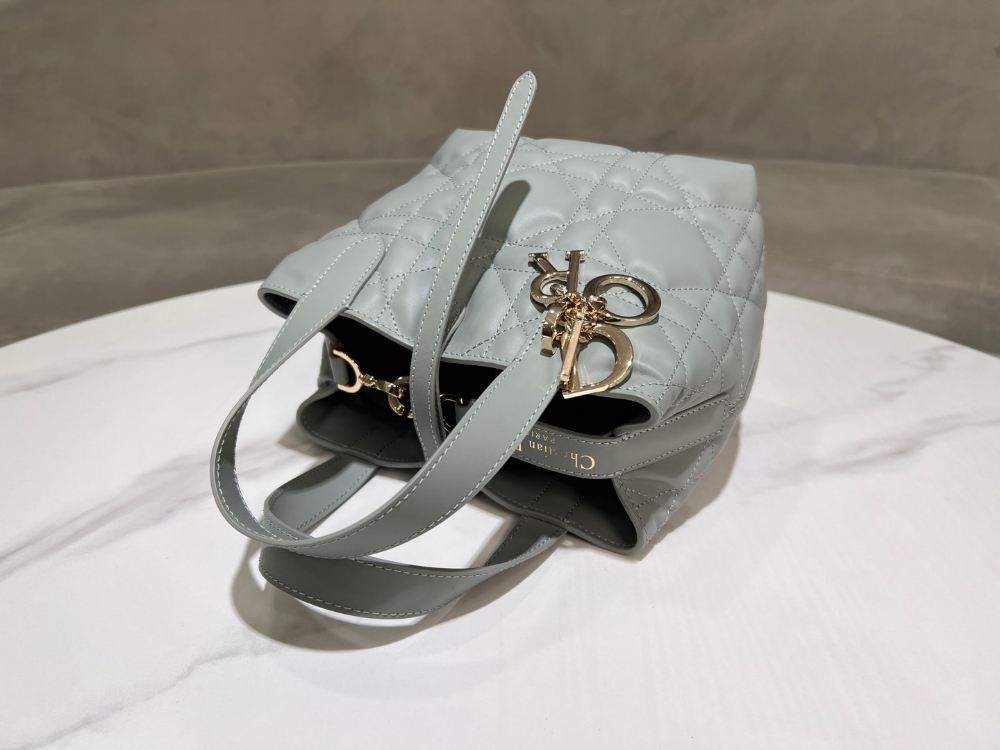 디올 Toujours Vertical Small