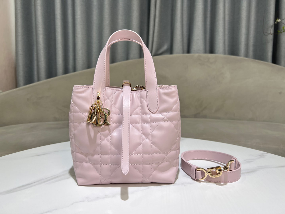 디올 Toujours Vertical Small