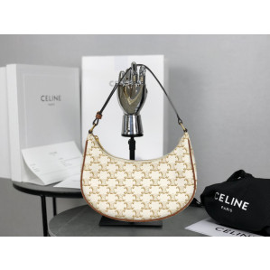 Celine Ava Bag in Triomphe Canvas and Calfskin