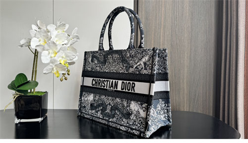 디올 북 토트백 어라운드 더 월드 블루 & 화이트