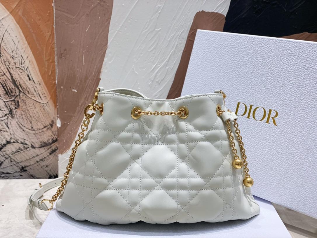 Dior Ammi Medium