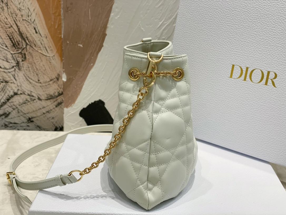 Dior Ammi Medium
