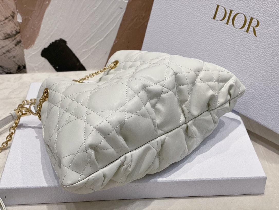 Dior Ammi Medium
