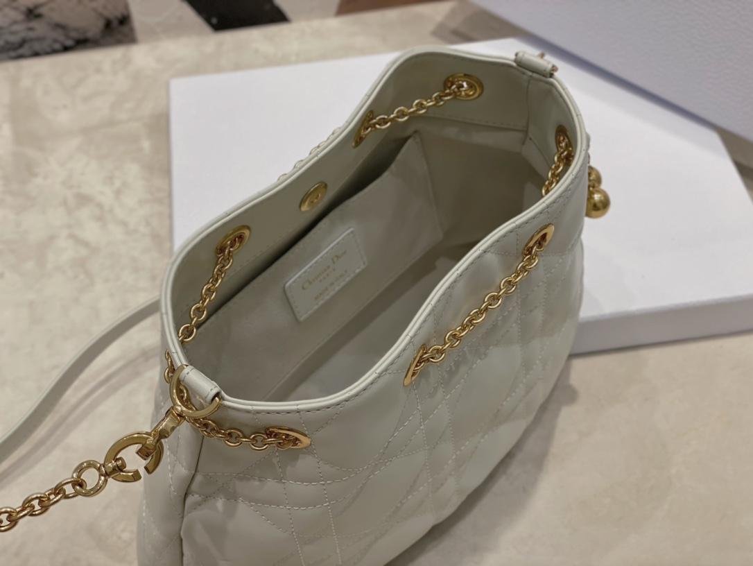 Dior Ammi Medium