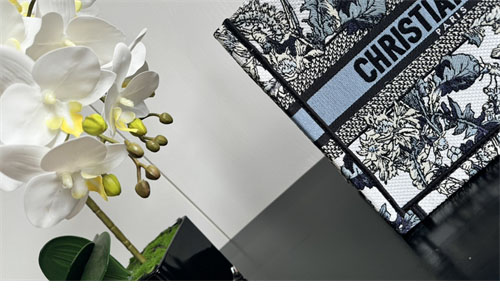 디올 북 토트백 스몰 샤돈 화이트 데님 블루