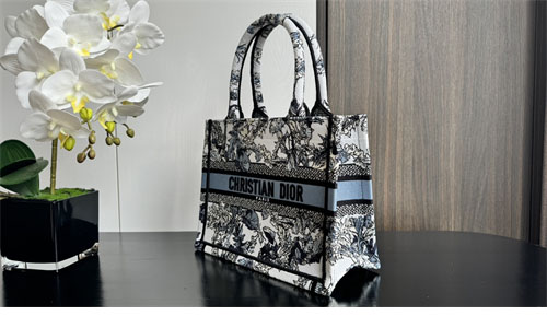 디올 북 토트백 스몰 샤돈 화이트 데님 블루