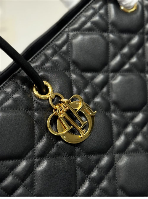 디올 뚜주흐 백 라지 블랙 그래픽 까나쥬