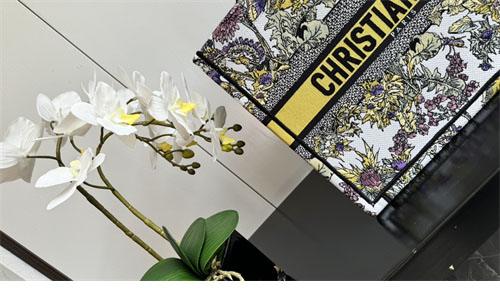 디올 북 토트백 미디엄 샤돈 라떼 옐로우 멀티