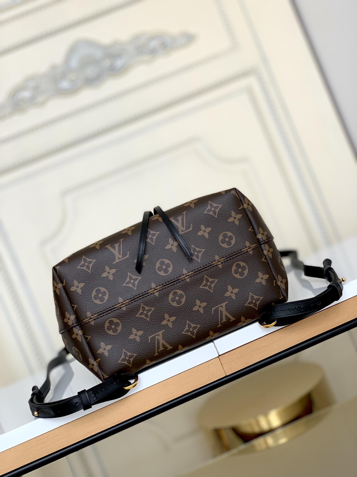 Louis Vuitton Montsouris PM