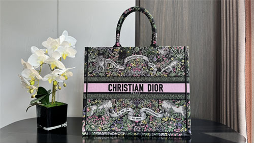 디올 북 토트백 어라운드 더 월드 블랙 멀티
