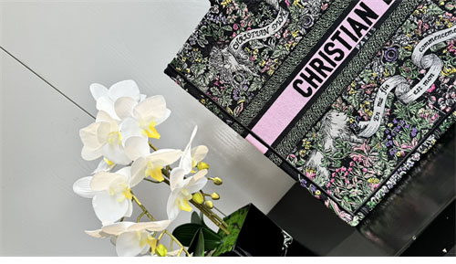 디올 북 토트백 어라운드 더 월드 블랙 멀티